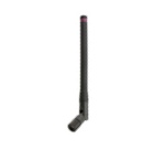 ../images/ant_275_0112.png