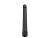../images/ant_275_0120.png